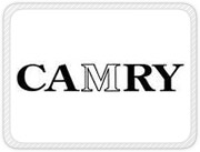 Camry - Satguru