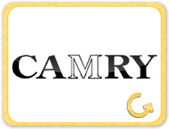 Camry - Satguru