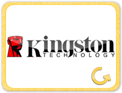Kingston - Satguru