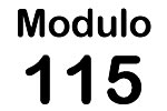 Modulo 115 - Satguru